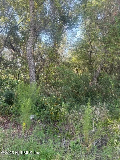 5727 Chippewa Ave, Keystone Heights, FL 32656 - photo 5