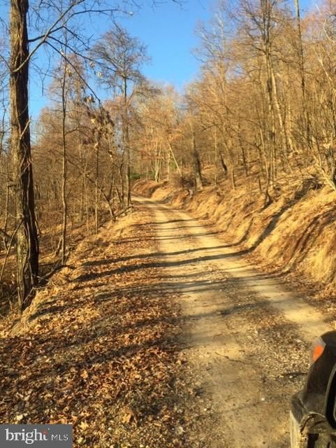 0 Rt 5 10 (Buffalo Hills Road), Franklin, WV 26807 - photo 3