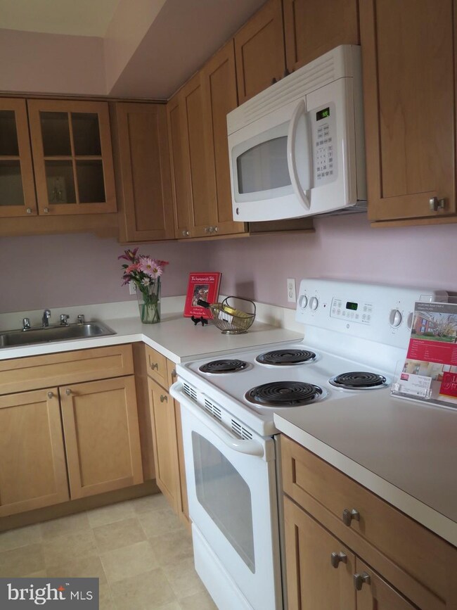 4520 36th St S unit A1, Arlington, VA 22206 - photo 4