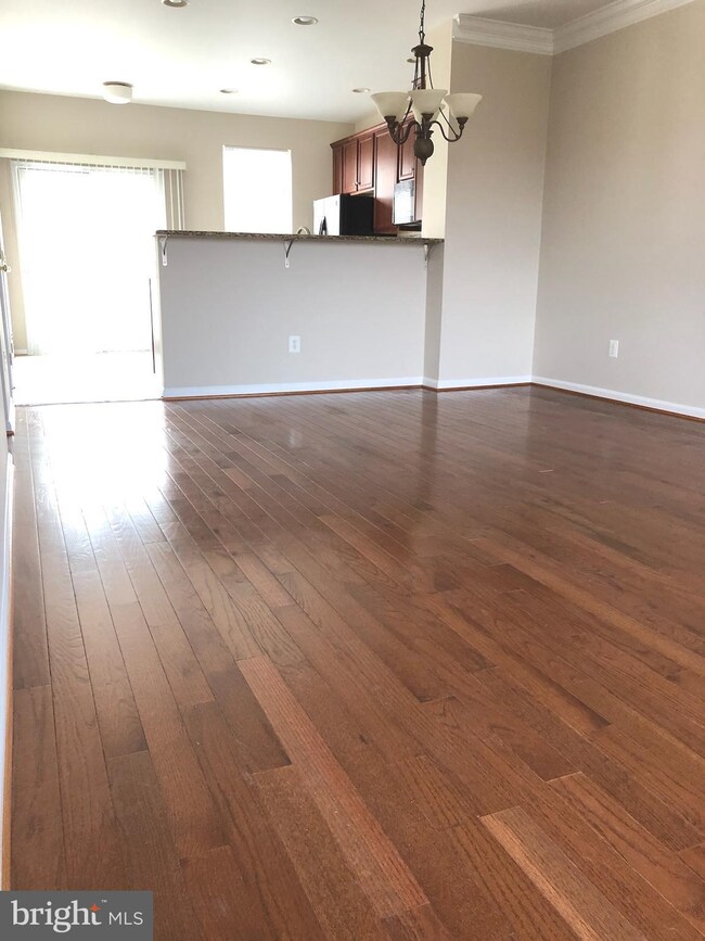 25300 Shipley Terrace, Chantilly, VA 20152 - photo 5