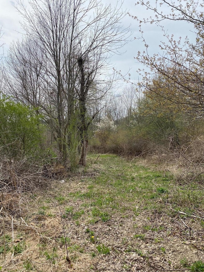 6 Pitcavage Ct, Cobbs Lake Preserve, PA 18436 - photo 4