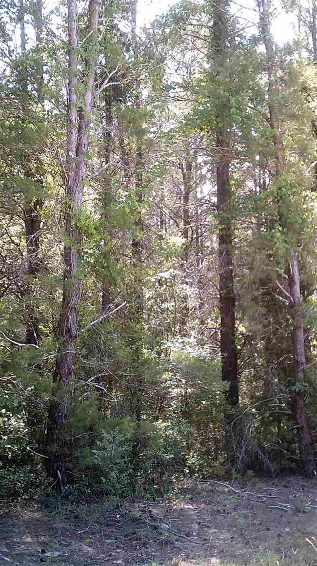 0 Sea Horse Dr 2nd unit 1 292596, Perry, FL 32348 - photo 3