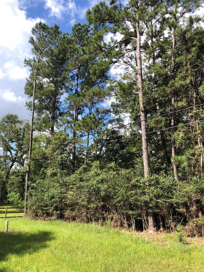 TBD Pelican St, Magnolia, TX 77355 - photo 2