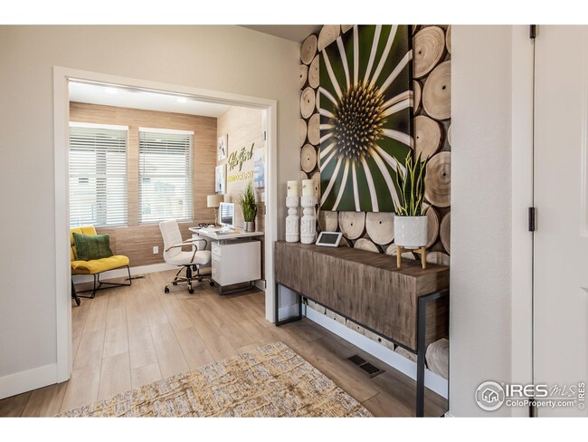 EXAMPLE PHOTO: ENTRYWAY