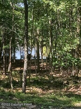 32-34-7 Lake Shore Aka Arrowhead Dr, Pocono Lake, PA 18347 - photo 2