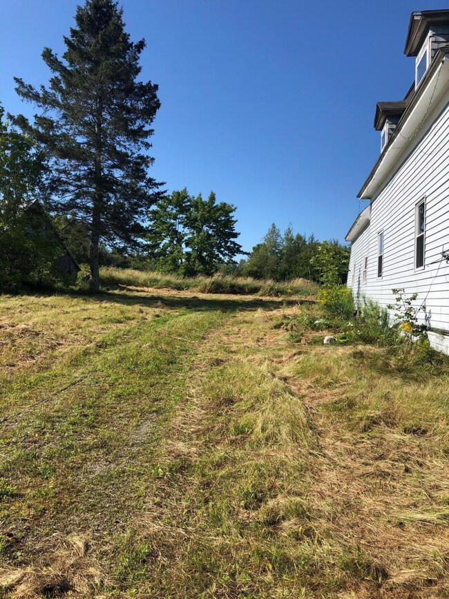 Driveway View