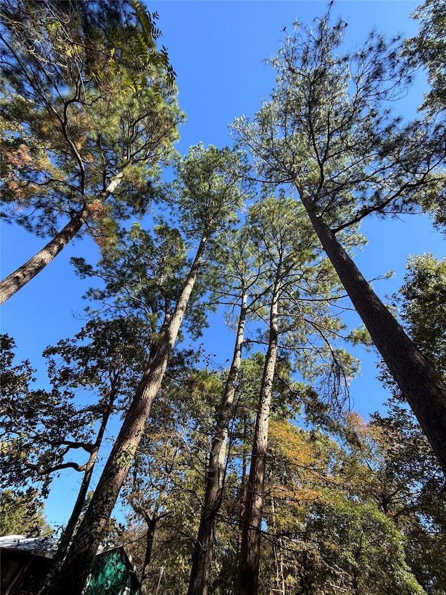 0 Alabama, Onalaska, TX 77360 - photo 2