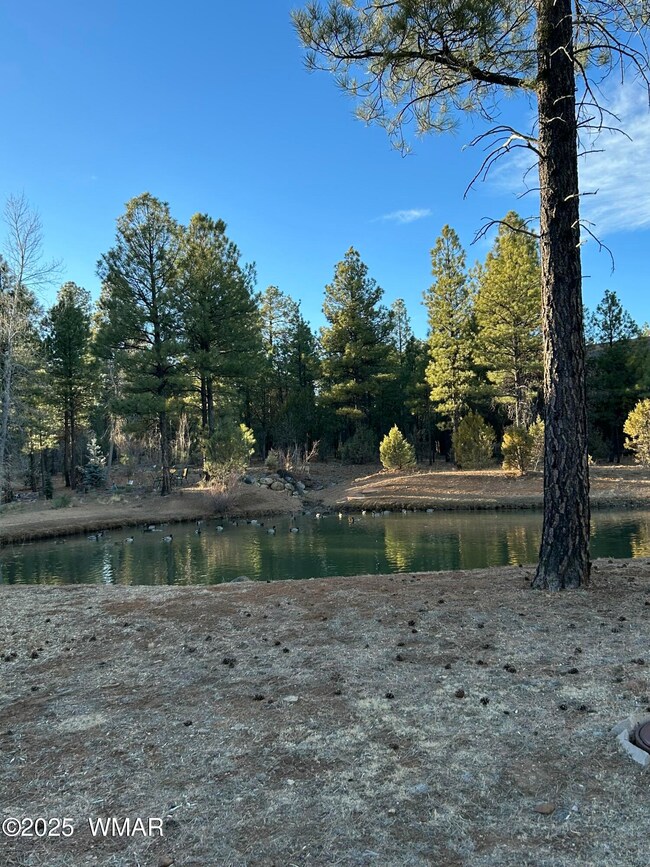 Water Feature/Stream