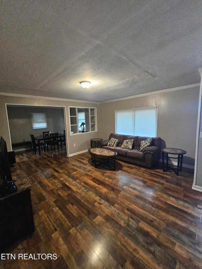 7507 Palmer Ln, Knoxville, TN 37924 - photo 5