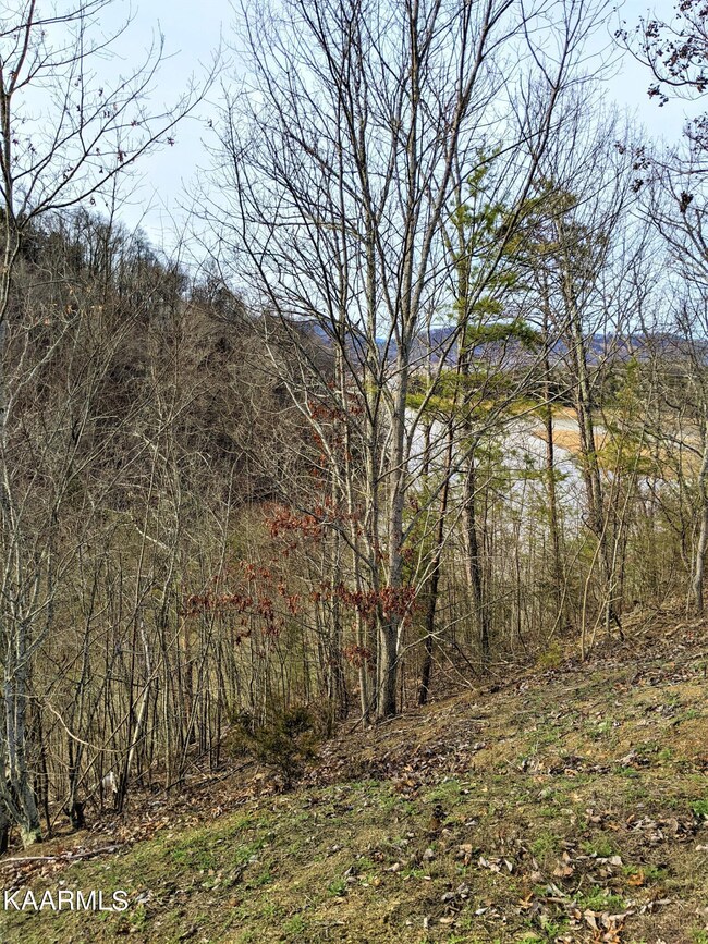 View of the lake from Lot 121