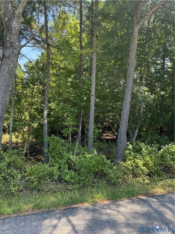 0 Lawyers unit 2521964, Prince George, VA 23875 - photo 3