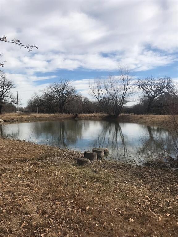 101 Leatherman Ln, Weatherford, TX 76088 - photo 2