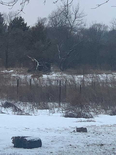 5008 S Driftwood Dr, Janesville, WI 53546 - photo 2