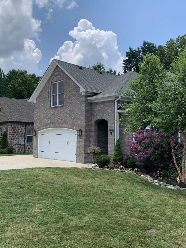 Photo owner supplied from the Spring. 