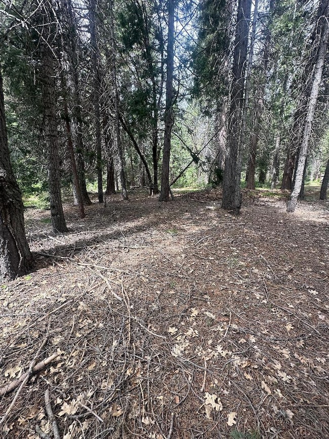 0 Widow Springs Dr, McCloud, CA 96057 - photo 7