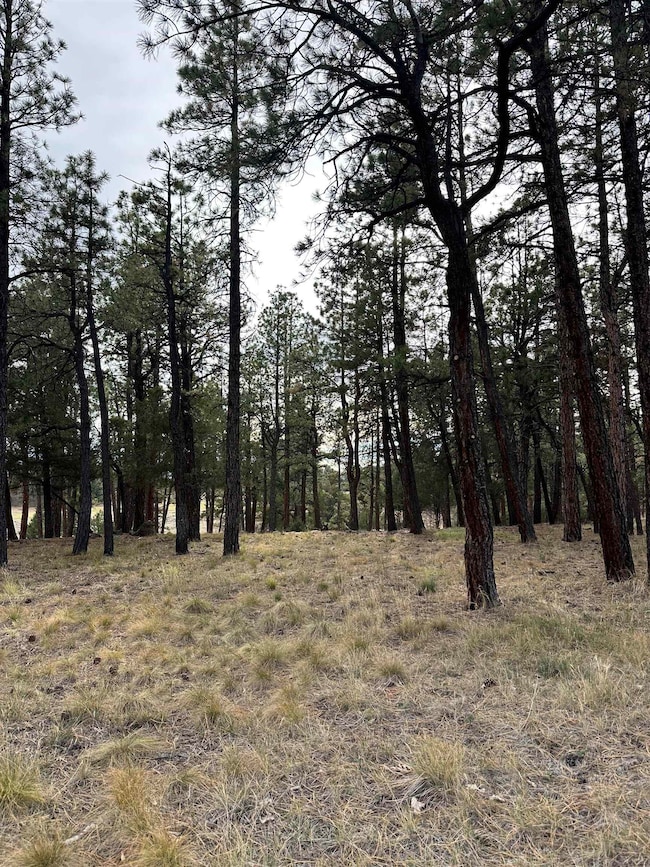 46 Marmot Dr, Loghill Village, CO 81432 - photo 2