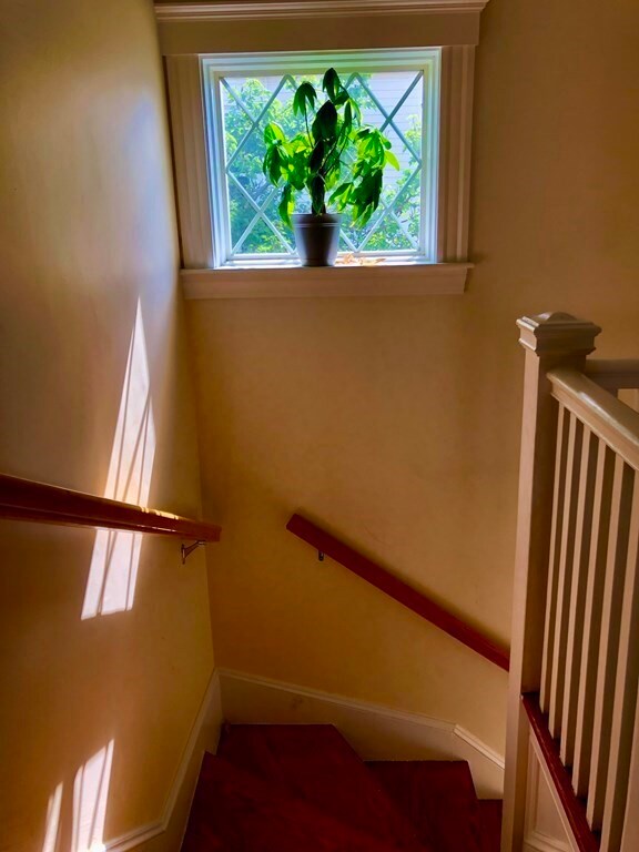 262 Brown St unit 2, Waltham, MA 02453 - photo 3