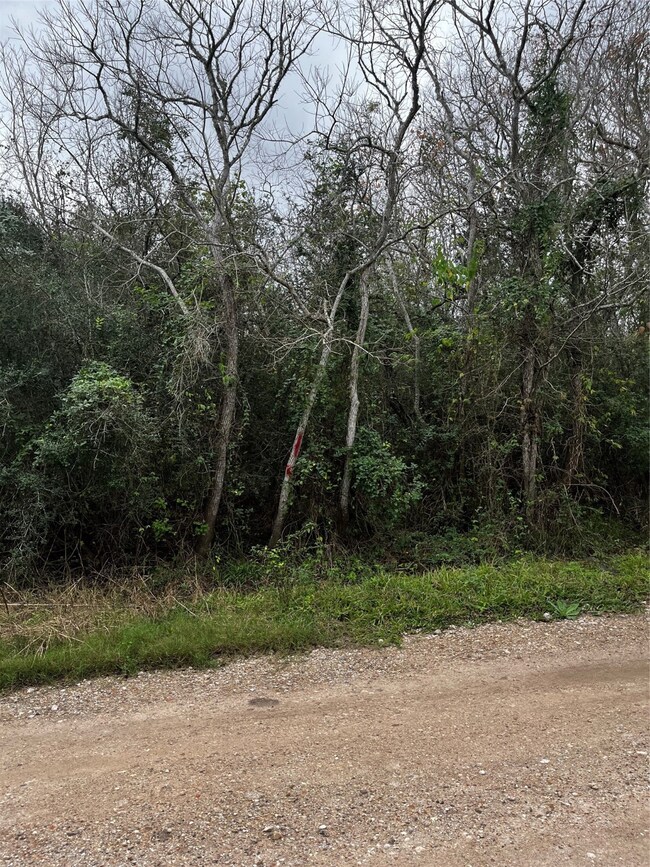 0 Octavo, Brazoria, TX 77422 - photo 2