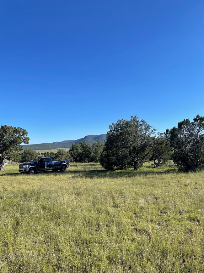 165 Reid Rd, Datil, NM 87821 - photo 7