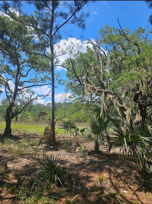 11 Hasell Pointe Rd, Okatie, SC 29909 - photo 2