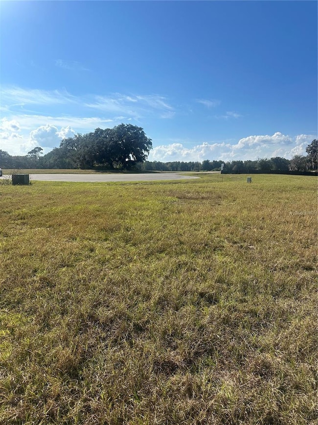 38553 Wooded Meadow Dr, Umatilla, FL 32784 - photo 5