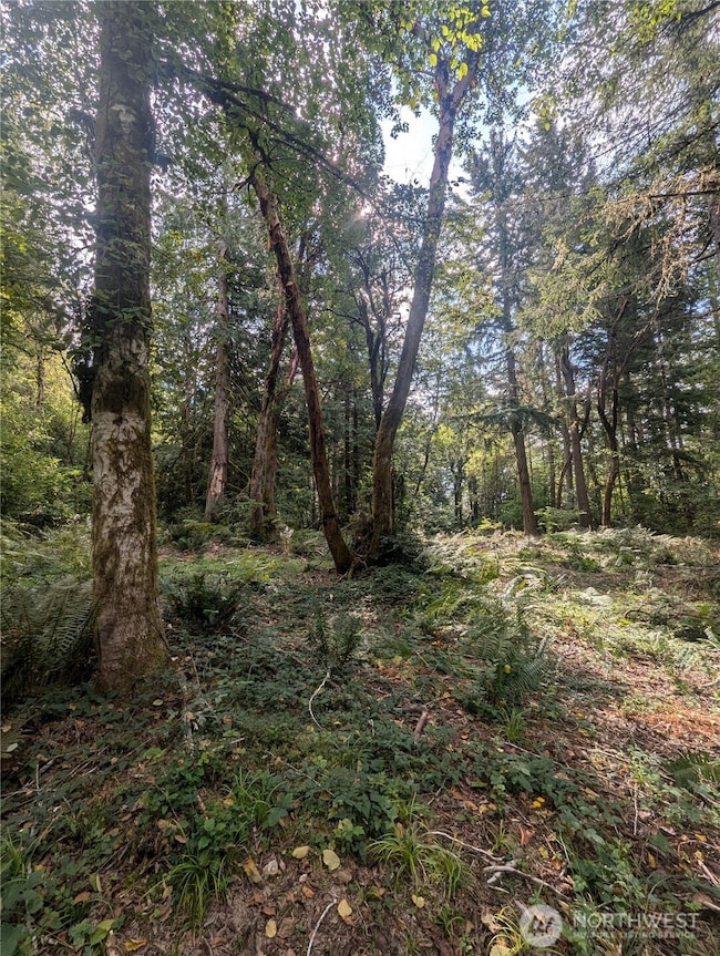 8900 Adams Ln NW, Olympia, WA 98502 - photo 2