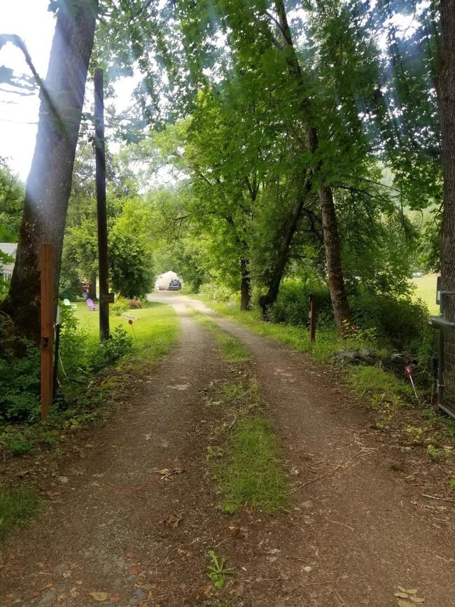 Driveway view-property
