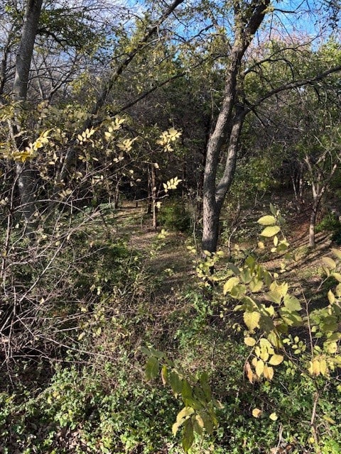 2009 Valley View Dr, Cedar Hill, TX 75104 - photo 5