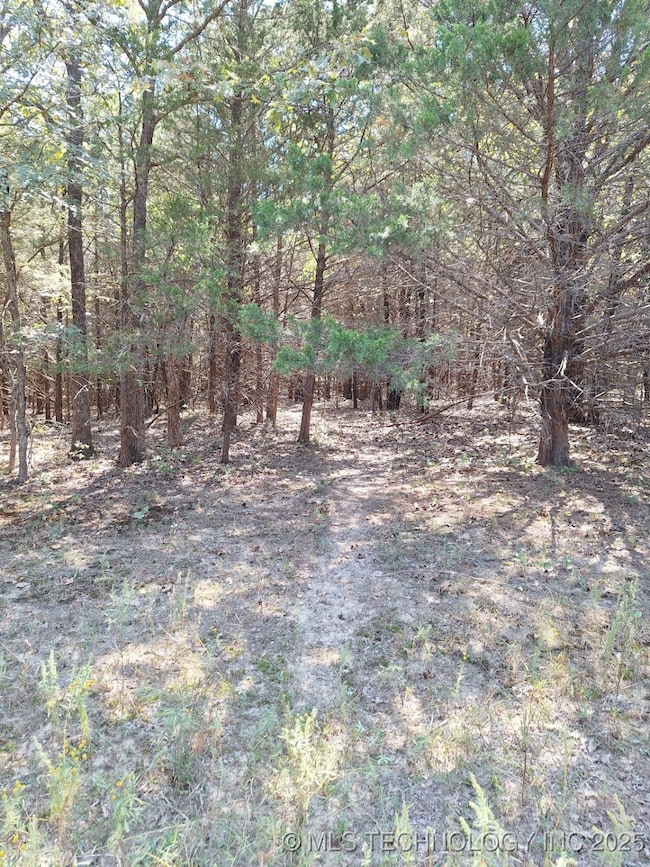 6611 County Road 3665, Allen, OK 74825 - photo 4