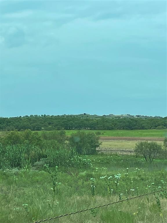 100 Tobiano Trace, Brock, TX 76087 - photo 4