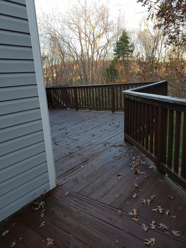 received_1259535804424509