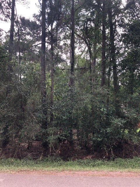 0 Shadberry, Magnolia, TX 77354 - photo 2