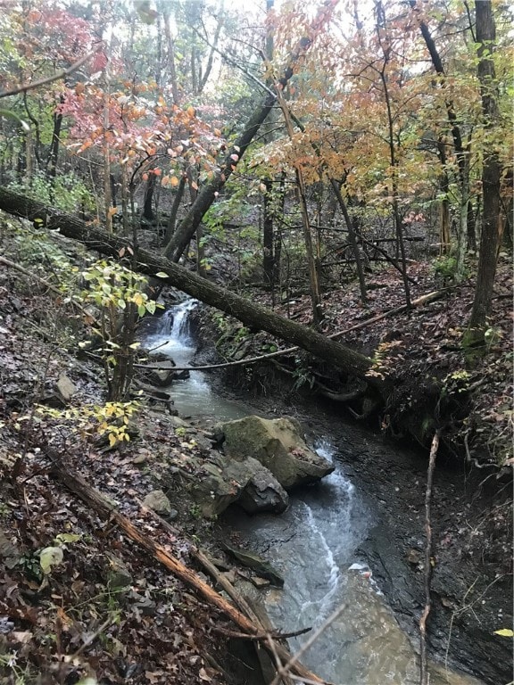 Spring fed creek in rear of property