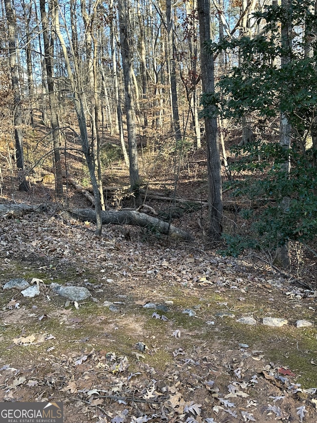 1038 Plantation Blvd SE, Conyers, GA 30094 - photo 3