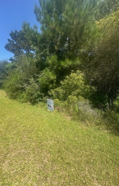 NHN Mint Julep Airpark, Perkinston, MS 39573 - photo 5