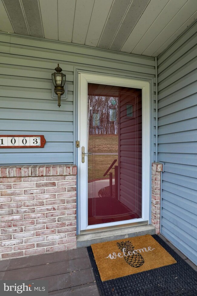 1003 Dry Wells Rd, Quarryville, PA 17566 - photo 4