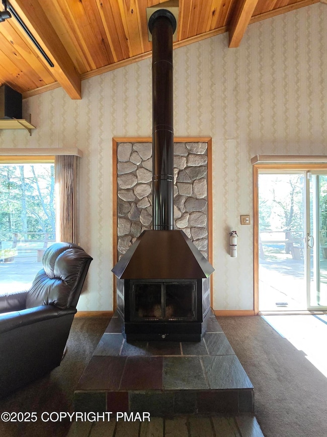 Wood Stove