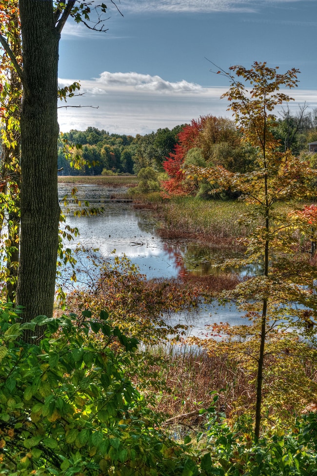 10 20 2014_Cranes Pond_Scenic Lake_Woods
