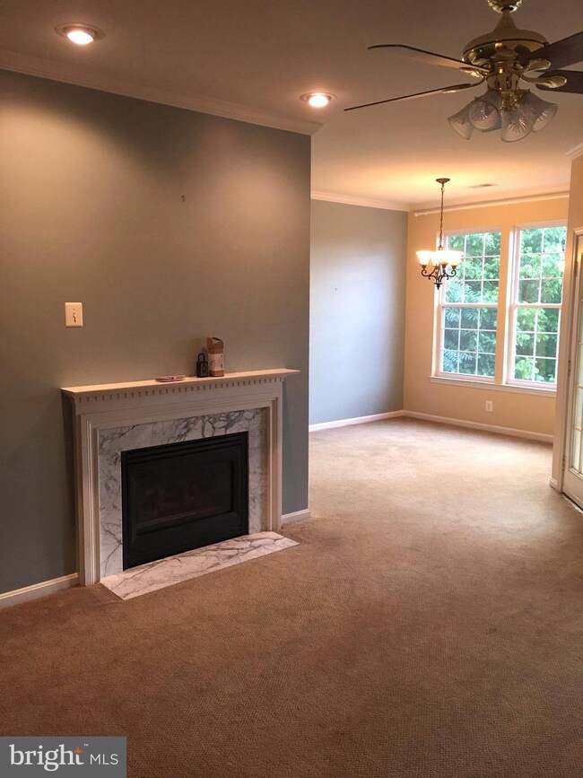 12020 Amber Ridge Cir unit 303B, Germantown, MD 20876 - photo 5