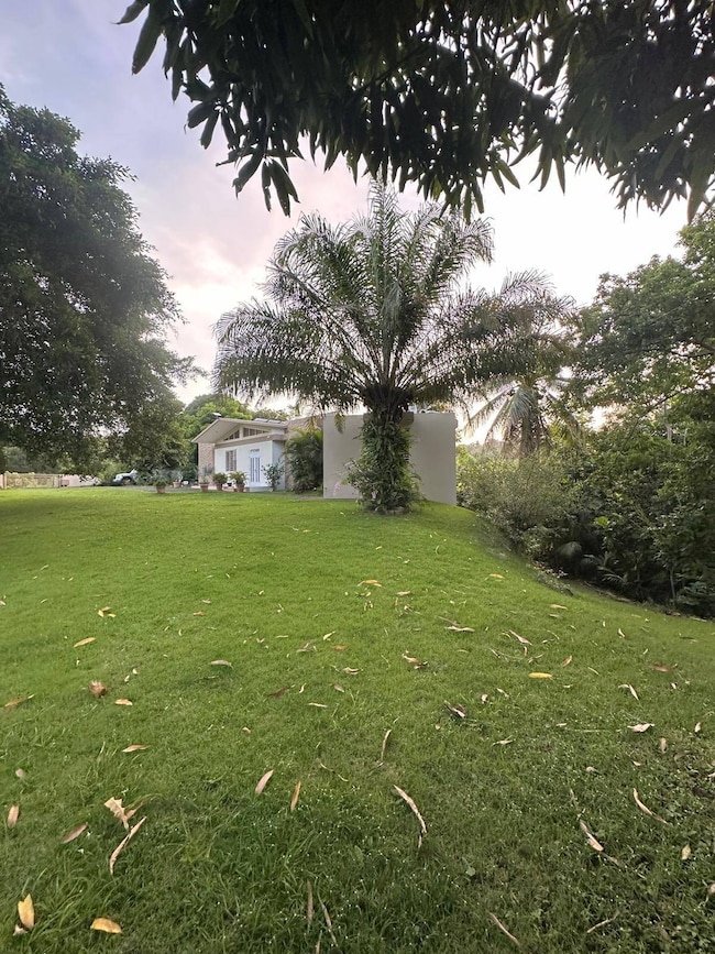 Carr 411 Km 1 0, Aguada, PR 00602 - photo 7