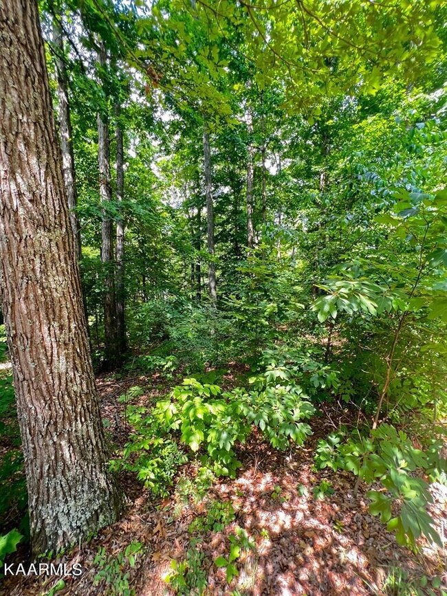 607120_1 - Copy - Copy