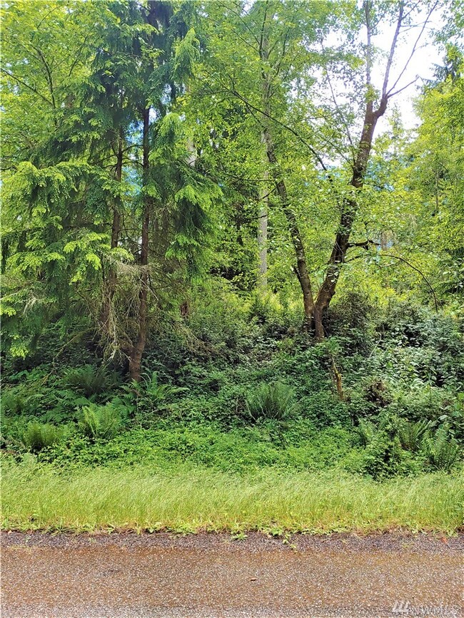 12816 & 12820 96th St Ct, Anderson Island, WA 98303 - photo 4