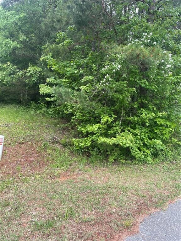 LOT #21 Horse Carriage Ln, Asheboro, NC 27205 - photo 6