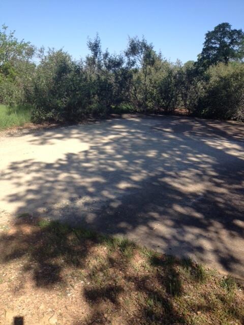 old driveway