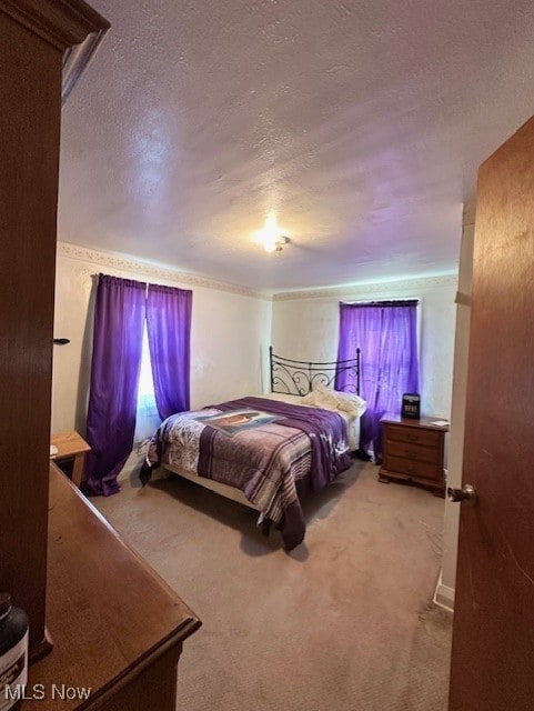 Bedroom featuring carpet floors and a textured ceiling