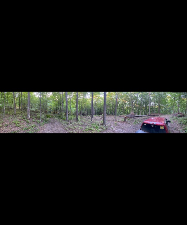 TBD Tbd, Mazeppa Township, MN 55956 - photo 5