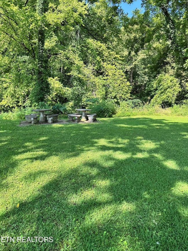 0 River Bank Rd unit 1308284, Pigeon Forge, TN 37863 - photo 5