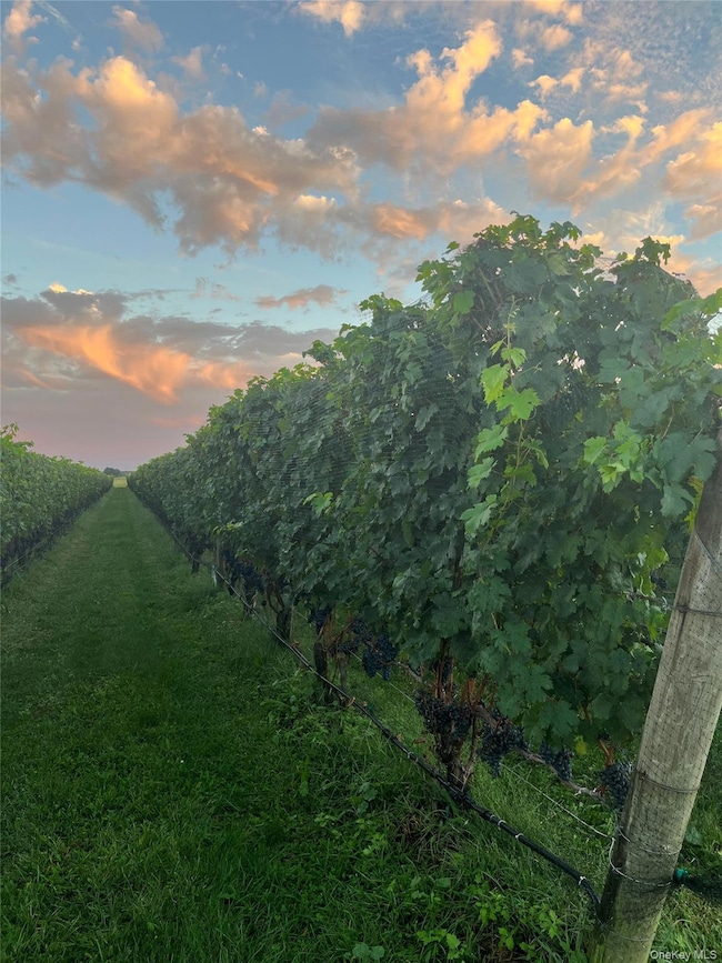 6094 Sound Ave, Jamesport, NY 11947 - photo 3