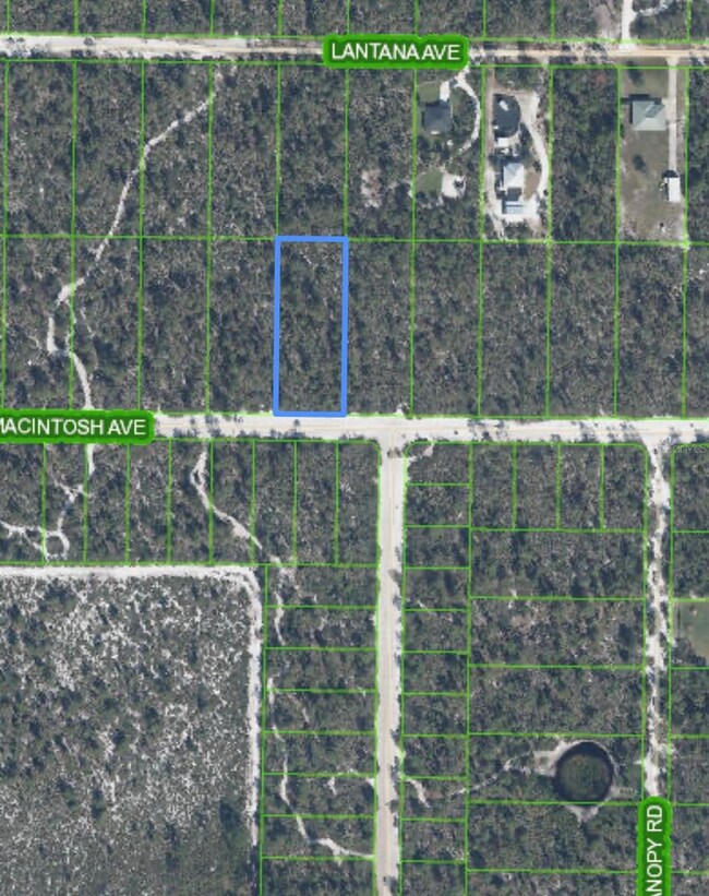 2132 Mcintosh Ave, Sebring, FL 33875 - photo 4