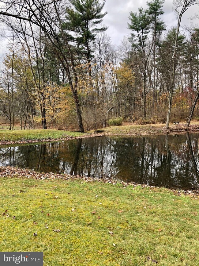 640 Hope St N, Orwigsburg, PA 17961 - photo 5